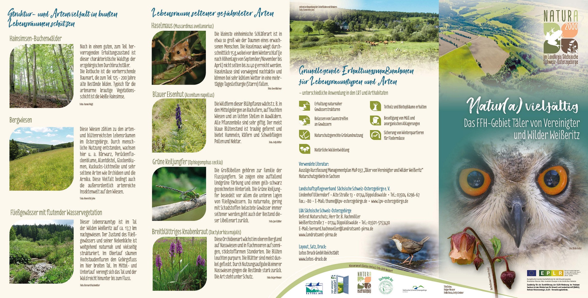 tl_files/downloads/Bilder Projekte/Projektstellen/Natura 2000 2.0/Flyer/LPV_Weisseritz_1.jpg